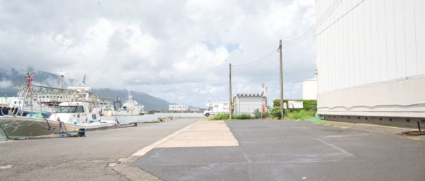 {{brizy_dc_image_alt imageSrc=