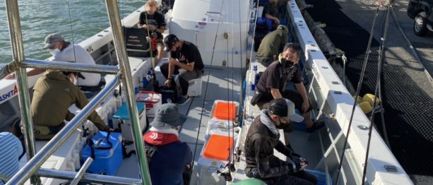 {{brizy_dc_image_alt imageSrc=